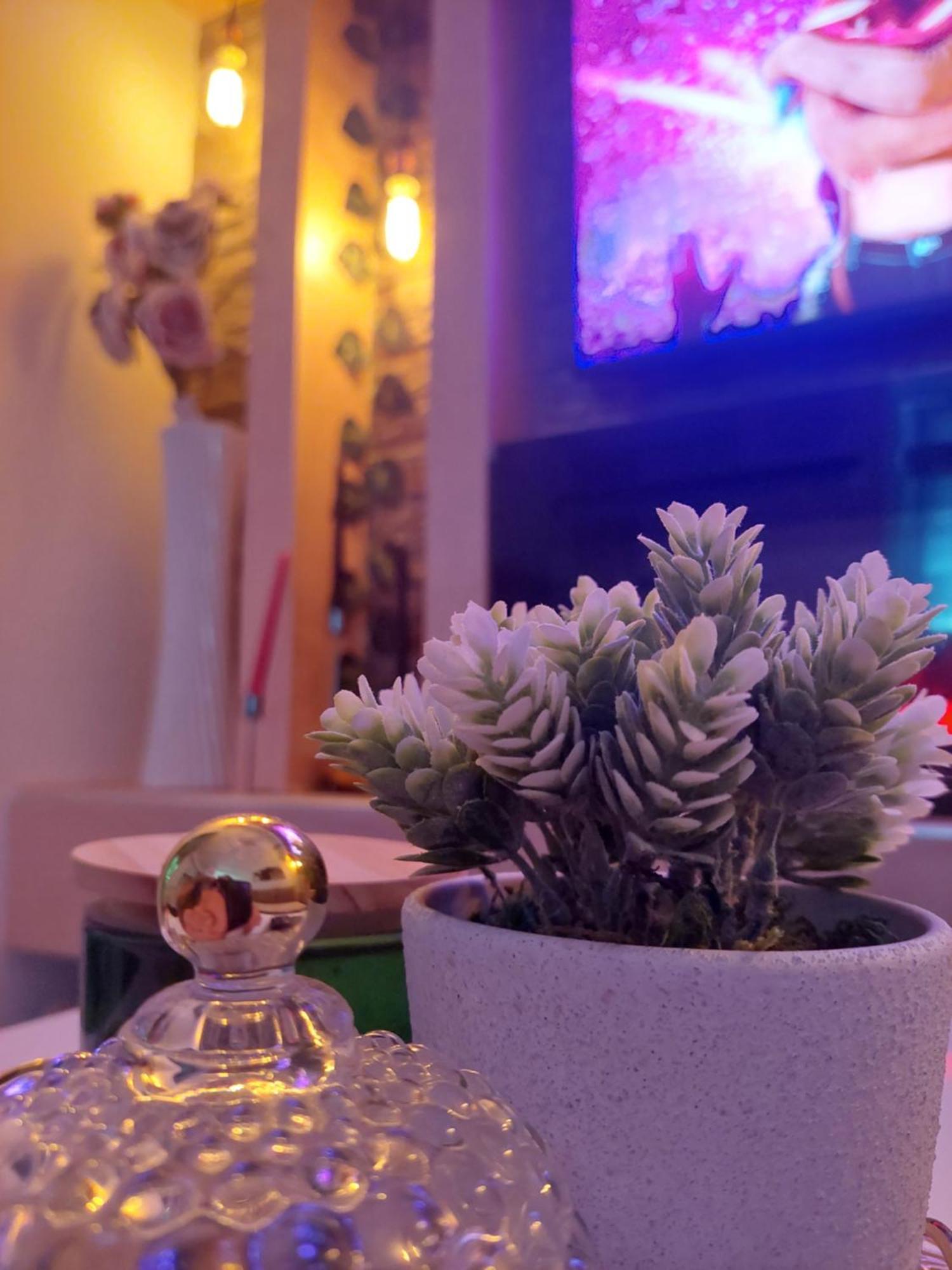 Apartman Star Lux Kula Bagian luar foto